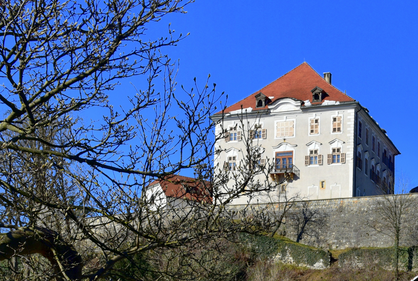 Medobčinski muzej Kamnik
