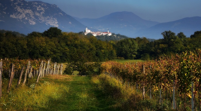 Прогулка по Словении :: Вечный крест Випавской долины :: Sprehod.com